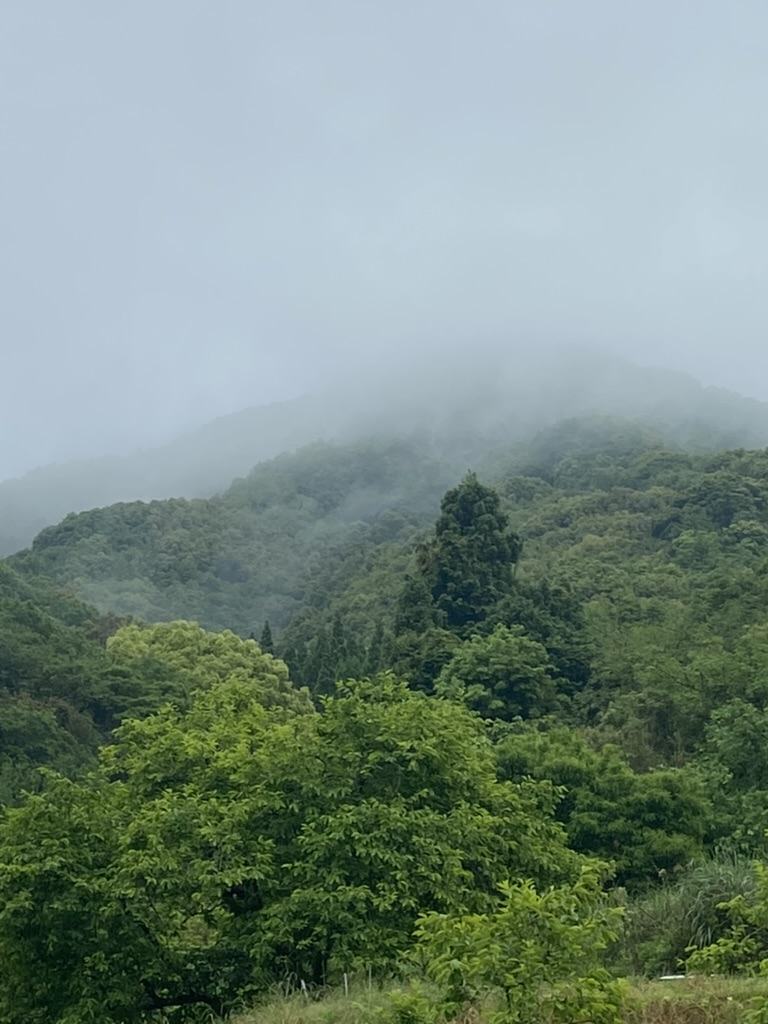 天気予報は晴れでも、山間はこんなにもやってる